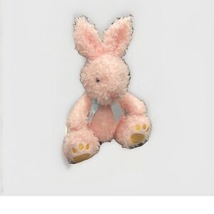 FAO Schwarz Soft Pink Plush